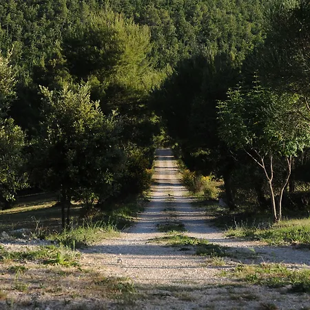 Farma Posto Del Sole